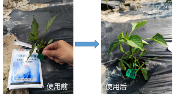 1515669646188559JiPm.png blob.png