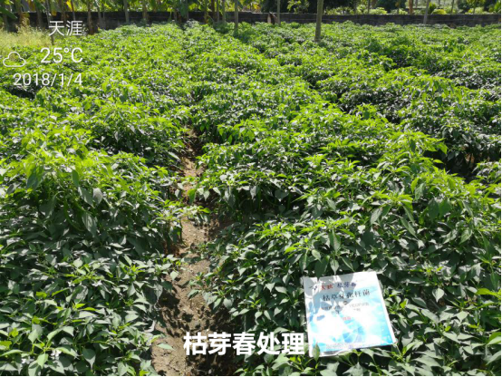 1515669701910885ZYHe.png blob.png