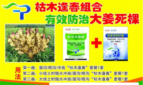 1522286737328566ooNm.png 圖片12.png