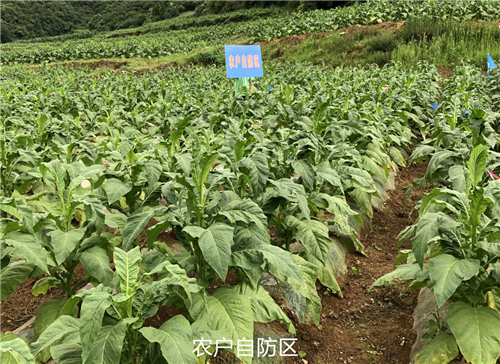 1531292148983599EWdH.png 圖片4.png