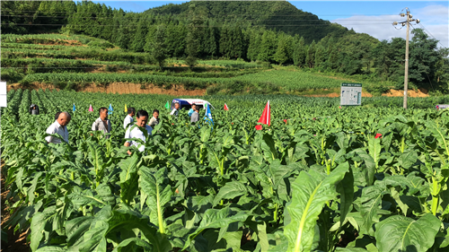 1531293057466989snWN.png 圖片6.png