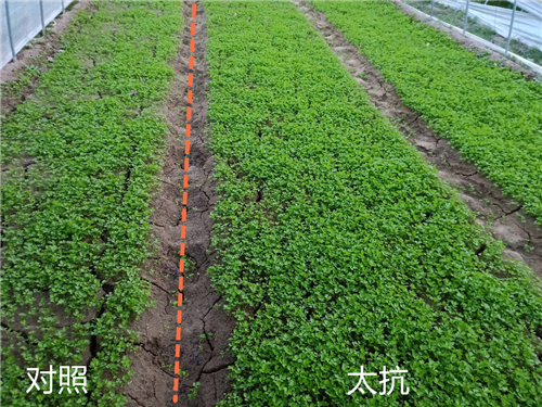 1540802299974225EzFl.png 圖片2.png