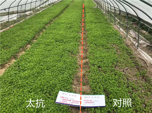 15408023086928564LEe.png 圖片3.png