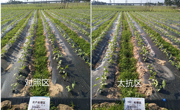 154529518419498334Kc.jpg 37316921296338568.jpg